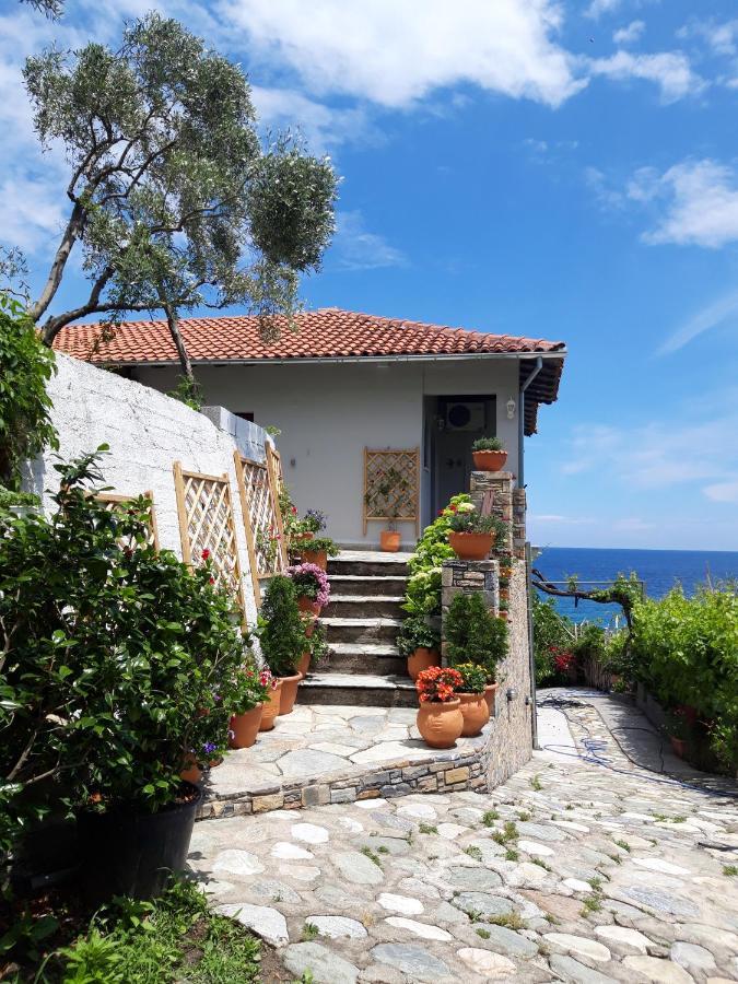 Apartamento Ammos Papanero Agios Ioannis  Exterior foto